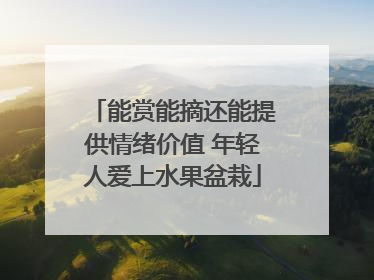 能赏能摘还能提供情绪价值 年轻人爱上水果盆栽