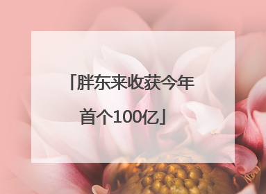 胖东来收获今年首个100亿