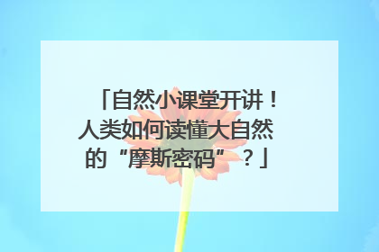 自然小课堂开讲！人类如何读懂大自然的“摩斯密码”？