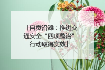 自贡沿滩：推进交通安全“四项整治”行动取得实效