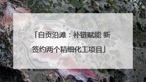 自贡沿滩：补链赋能 新签约两个精细化工项目