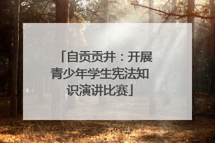 自贡贡井：开展青少年学生宪法知识演讲比赛