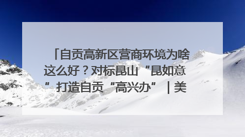 自贡高新区营商环境为啥这么好？对标昆山“昆如意”打造自贡“高兴办”｜美好生活有“盐”味