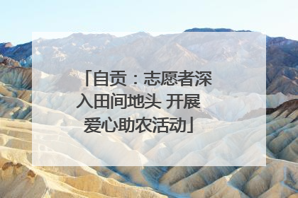 自贡：志愿者深入田间地头 开展爱心助农活动