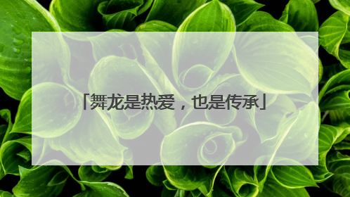 舞龙是热爱，也是传承