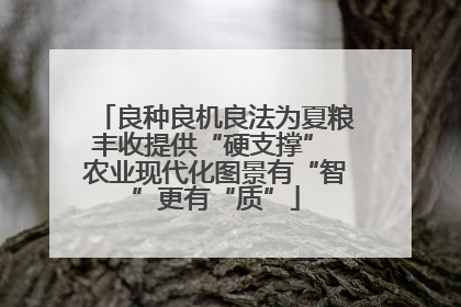 良种良机良法为夏粮丰收提供“硬支撑” 农业现代化图景有“智”更有“质”
