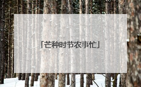 芒种时节农事忙