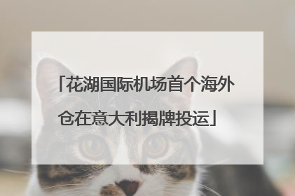 花湖国际机场首个海外仓在意大利揭牌投运
