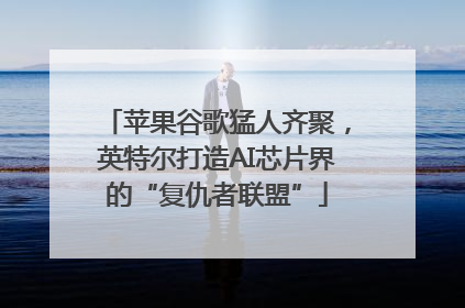苹果谷歌猛人齐聚，英特尔打造AI芯片界的“复仇者联盟”