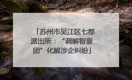 苏州市吴江区七都派出所：“调解智囊团”化解涉企纠纷