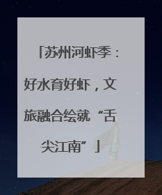 苏州河虾季：好水育好虾，文旅融合绘就“舌尖江南”
