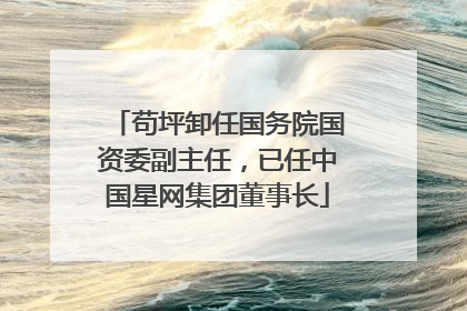 苟坪卸任国务院国资委副主任，已任中国星网集团董事长