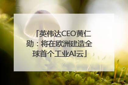 英伟达CEO黄仁勋：将在欧洲建造全球首个工业AI云