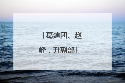 葛建团、赵峰，升副部