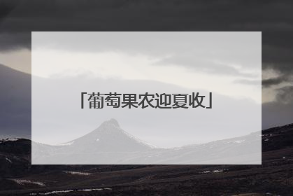 葡萄果农迎夏收