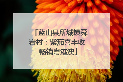蓝山县所城镇舜岩村：紫茄喜丰收 畅销粤港澳