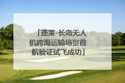 蓬莱-长岛无人机跨海运输场景首航验证试飞成功
