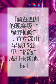 藏在四川的现实版“绿野仙踪”：宜宾深山罕见15公里“稻海”成打卡新地标