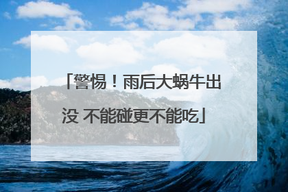 警惕！雨后大蜗牛出没 不能碰更不能吃