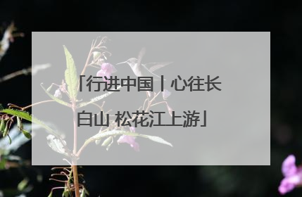 行进中国丨心往长白山 松花江上游