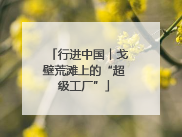 行进中国丨戈壁荒滩上的“超级工厂”