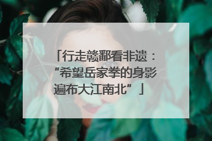 行走赣鄱看非遗：“希望岳家拳的身影遍布大江南北”