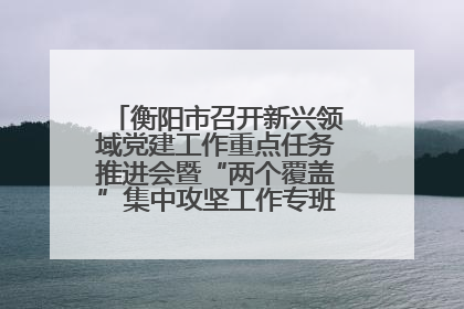 衡阳市召开新兴领域党建工作重点任务推进会暨“两个覆盖”集中攻坚工作专班 第一次会议