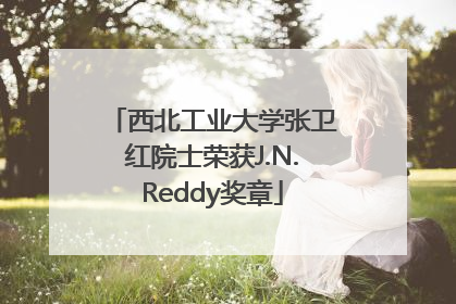 西北工业大学张卫红院士荣获J.N.Reddy奖章