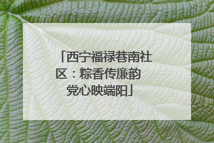 西宁福禄巷南社区：粽香传廉韵 党心映端阳