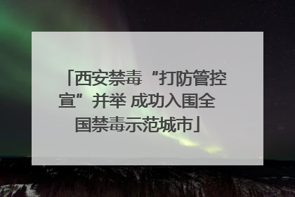 西安禁毒“打防管控宣”并举 成功入围全国禁毒示范城市