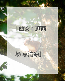 西安：逛商场 享清凉