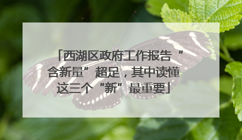 西湖区政府工作报告“含新量”超足，其中读懂这三个“新”最重要