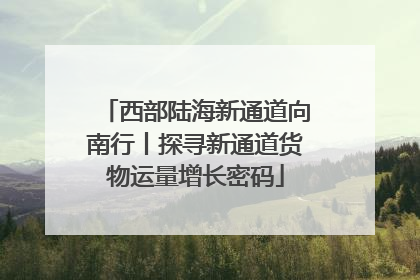 西部陆海新通道向南行丨探寻新通道货物运量增长密码