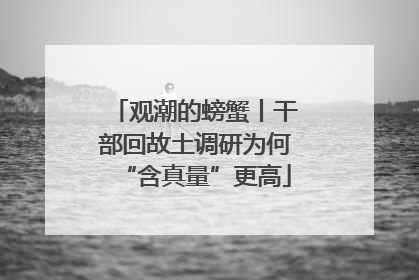 观潮的螃蟹丨干部回故土调研为何“含真量”更高