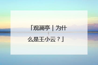 观澜亭｜为什么是王小云？