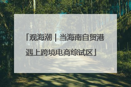 观海潮｜当海南自贸港遇上跨境电商综试区