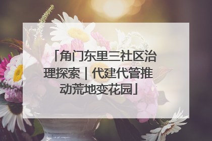 角门东里三社区治理探索｜代建代管推动荒地变花园