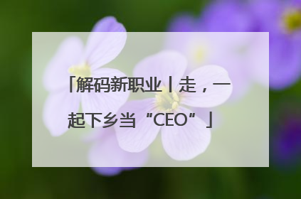 解码新职业丨走，一起下乡当“CEO”