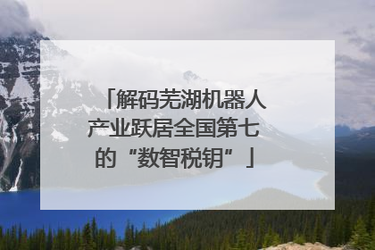 解码芜湖机器人产业跃居全国第七的“数智税钥”