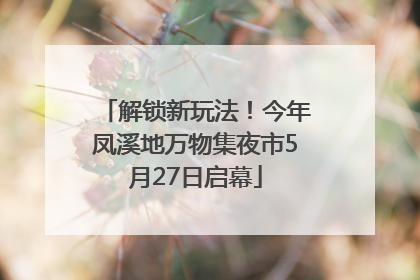 解锁新玩法！今年凤溪地万物集夜市5月27日启幕