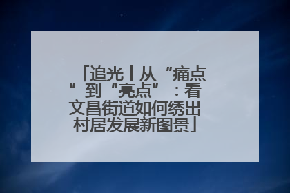 追光丨从“痛点”到“亮点”：看文昌街道如何绣出村居发展新图景