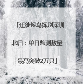 迁徙候鸟挥别深圳北归：单日监测数量最高突破2万只