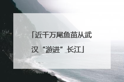 近千万尾鱼苗从武汉“游进”长江