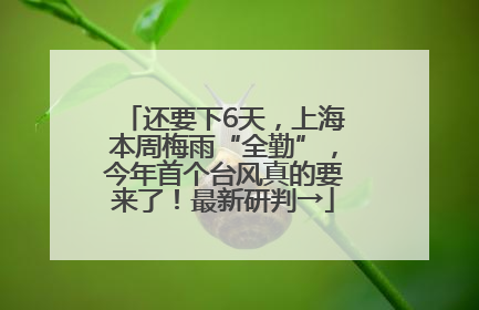 还要下6天，上海本周梅雨“全勤”，今年首个台风真的要来了！最新研判→