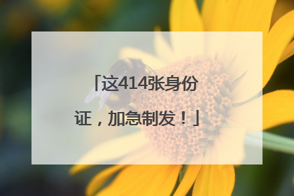 这414张身份证，加急制发！