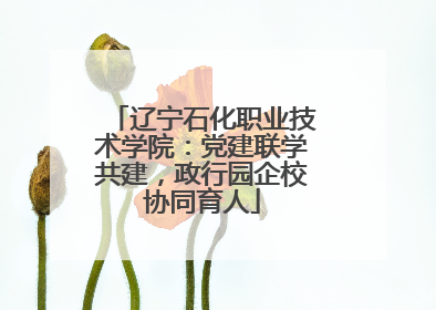 辽宁石化职业技术学院：党建联学共建，政行园企校协同育人