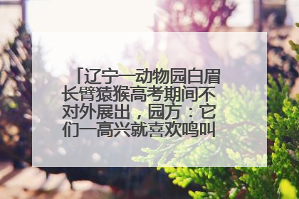 辽宁一动物园白眉长臂猿猴高考期间不对外展出，园方：它们一高兴就喜欢鸣叫，怕影响考试