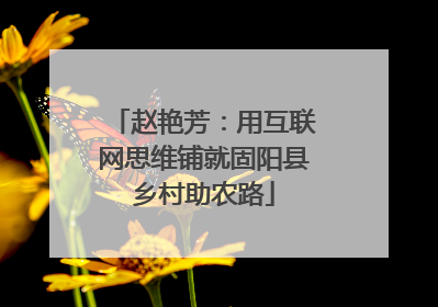 赵艳芳：用互联网思维铺就固阳县乡村助农路