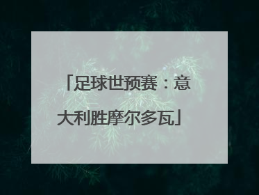 足球世预赛：意大利胜摩尔多瓦