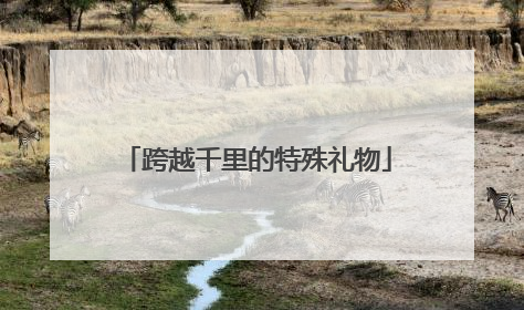 跨越千里的特殊礼物